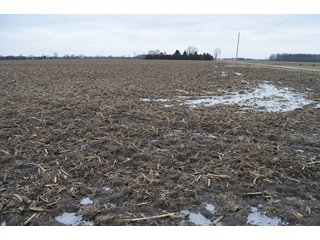 Property photo 59 - 175 Acres Offered in 5 Tracts - Tontogany, Ohio Farm Land Auction